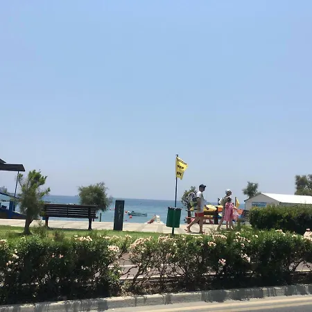 Steampunk Studio On The Beach